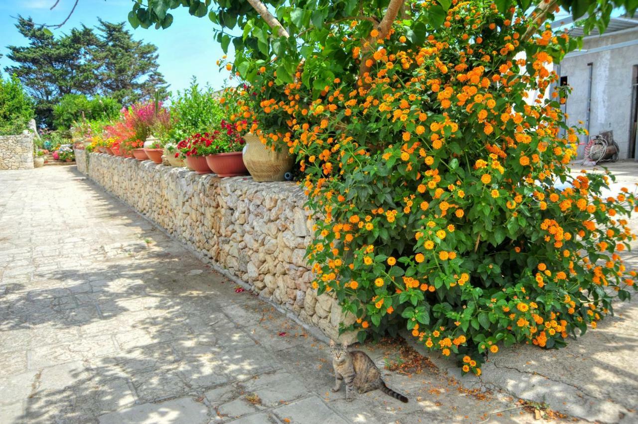 Residence Villa Grotta Monaca Otranto Kültér fotó